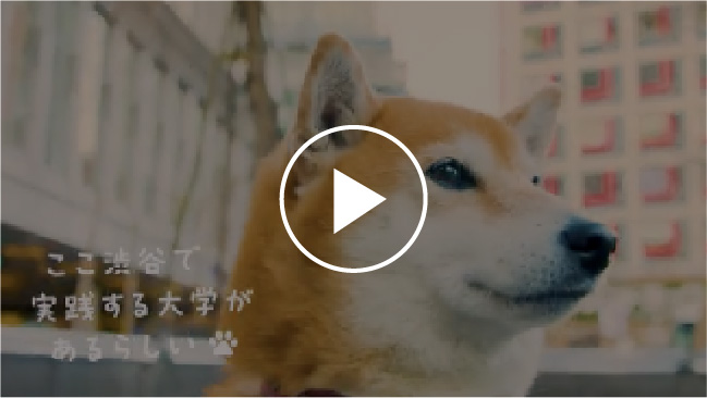 渋谷キャンパス 動画