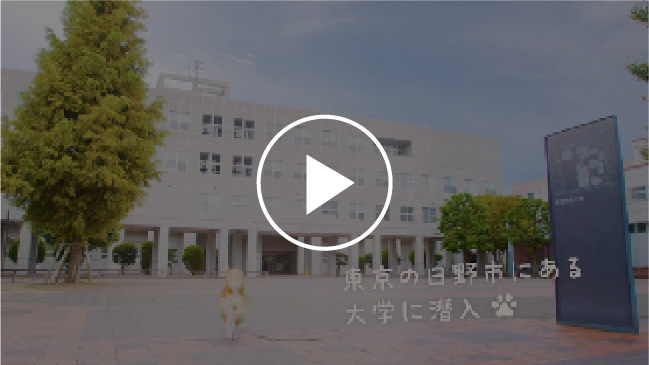 日野キャンパス 動画