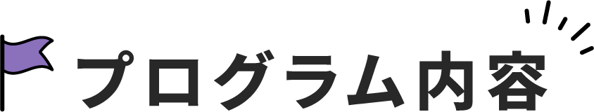 プログラム内容
